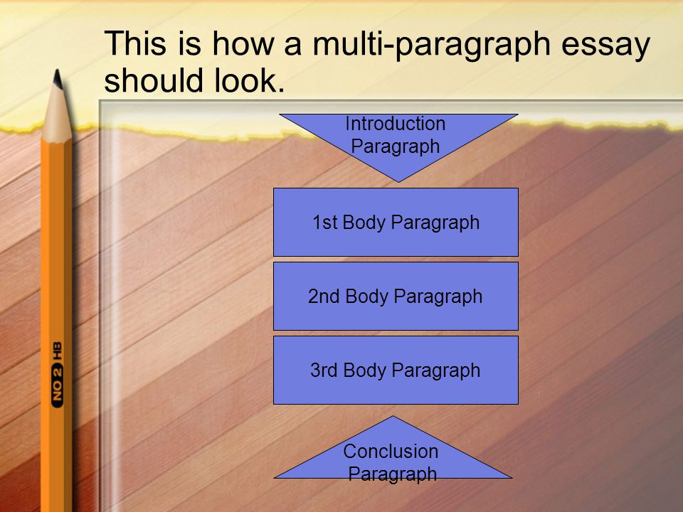 multi paragraph essay